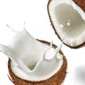 Растительное кокосовое молоко Green Milk 1л фото 2 &mdash; Компания Фаиндринкс, Краснодар