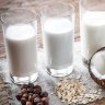 Растительное кокосовое молоко Green Milk 1л фото 3 &mdash; Компания Фаиндринкс, Краснодар